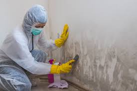 Best Mold Prevention Services in Guyton, GA